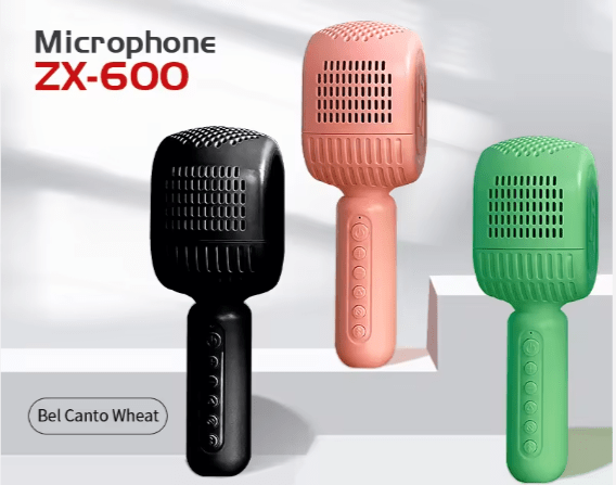 Disco - HiFi Speaker Wireless Microphone