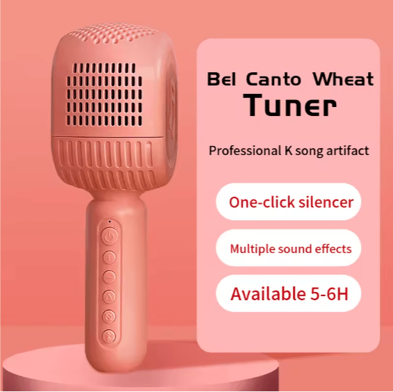 Disco - HiFi Speaker Wireless Microphone